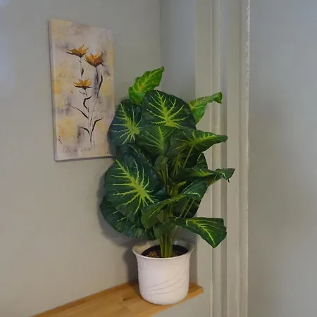 Gasthof Und Paffrath 3*