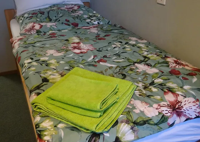 Und Gaestehaus Paffrath Gæstehus 3*